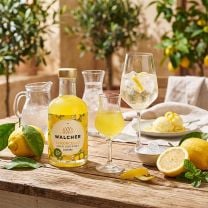 Bio Limoncello Gran Gourmet aus sizilianischen Bio-Zitronen 25% Vol. 0,2l