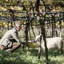 "La Rose de Manincor" Cuvée IGT Weingut Manincor BIO 0,75l