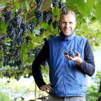 Obermoser Weingut