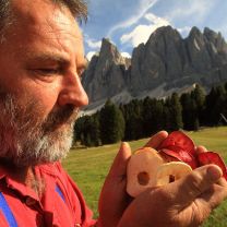 „Weirouge“ roter Apfelsaft aus Südtirol BIO 0,75l