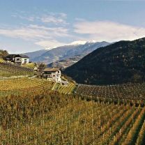 Naturtrüber Bergapfelsaft vom Sigmund Schwarzielhof 1l
