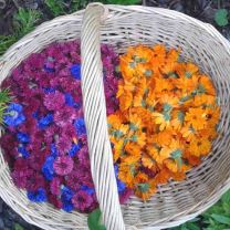 Riemerhof