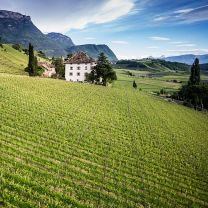 Rosé Cuvée 20/26 IGT Weingut Elena Walch 0,75l