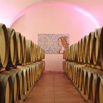 "Cardellino" Chardonnay DOC Weingut Elena Walch 0,75l
