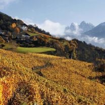 Vernatsch DOC Kellerei Eisacktal 0,75l