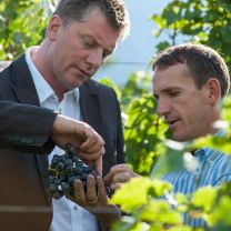 "Gschleier - Alte Reben" Vernatsch DOC Kellerei Girlan 0,75l