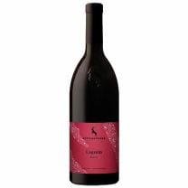 Lagrein Riserva DOC von Rottensteiner aus Südtirol mit elegantem Rubinrot und charaktervoller Rotweinstruktur.