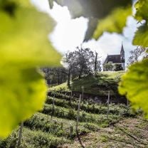 "St. Daniel" Blauburgunder Riserva DOC Kellerei Schreckbichl 0,75l
