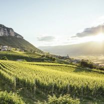 "Arenis" Gewürztraminer DOC Kellerei Kurtatsch 0,75l
