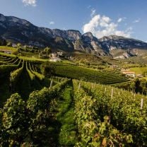 "Soma" Merlot-Cabernet DOC Kellerei Kurtatsch 0,75l