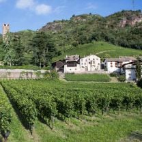 Lagrein Riserva DOC Weingut Rottensteiner 0,75l