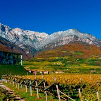 Tramin