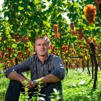 Willi Stürz, Kellermeister der Kellerei Tramin