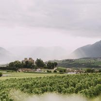Romen Weingut