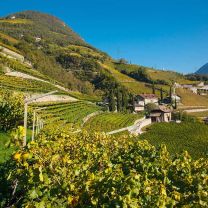 Bozen