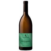 Weißburgunder DOC vom Weingut Rottensteiner aus Südtirol, frischer Pinot Bianco mit Aromen von Zitrusfrüchten und Apfel.