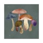 Papierservietten mit Pilzmotiv „Mushroom Fantasy“ 33 × 33 cm