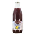 Apfel-Schwarzbeere-Fruchtsaft von Annalena Rauch – 100 % Direktsaft aus Südtirol, ohne Zuckerzusatz, im nachhaltigen Glas.