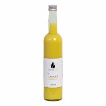 Ingwer Konzentrat BIO 0,5l