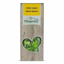 "Buon Umore - Gute Laune" Kräutertee BIO 18g