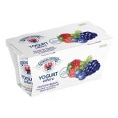 Waldfrüchte Vollmilchjoghurt 125g x 2